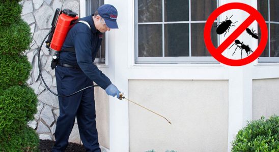 Haliliye Karınca İlaçlama böcek ilaçlama ve haşere kontrolü — ilaclama-tr.com